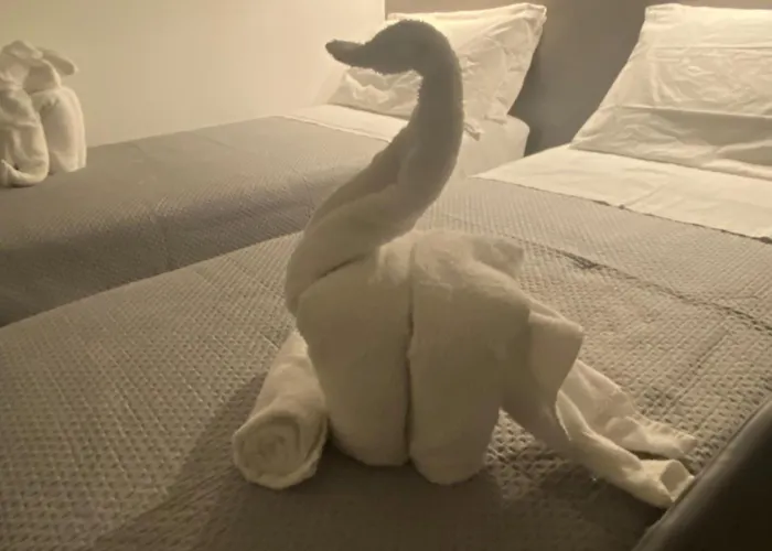 Al Vicoletto Bellante